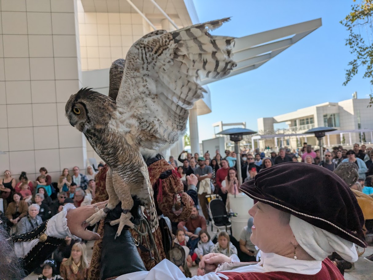 Gryphon, a Great Horned Owl